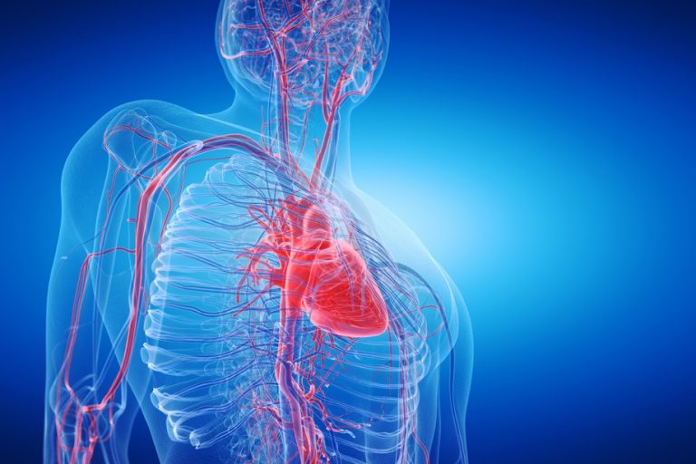 Types of Vascular Diseases: Causes, Treatment & Prevention