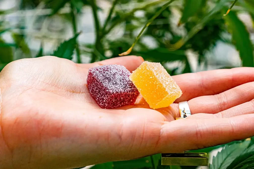 The significance of edible gummies is that it is useful